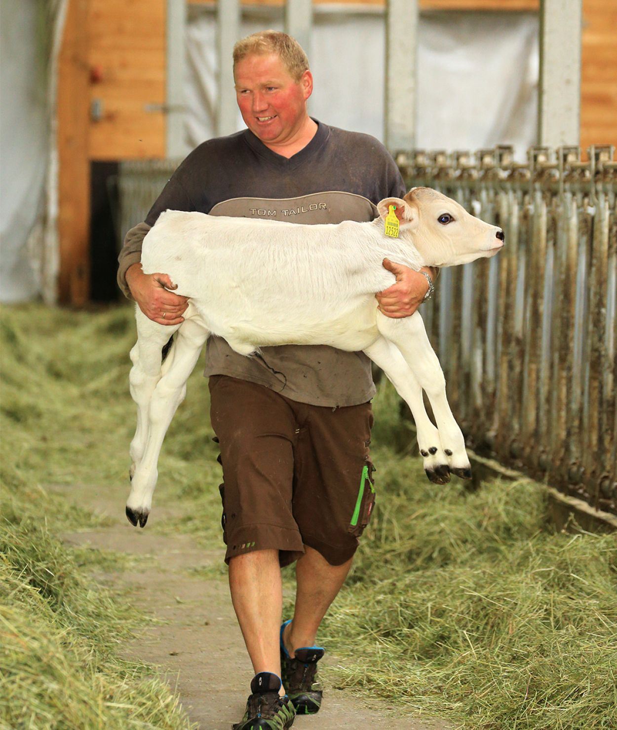 Kinder auf dem Ferienhof Bommer