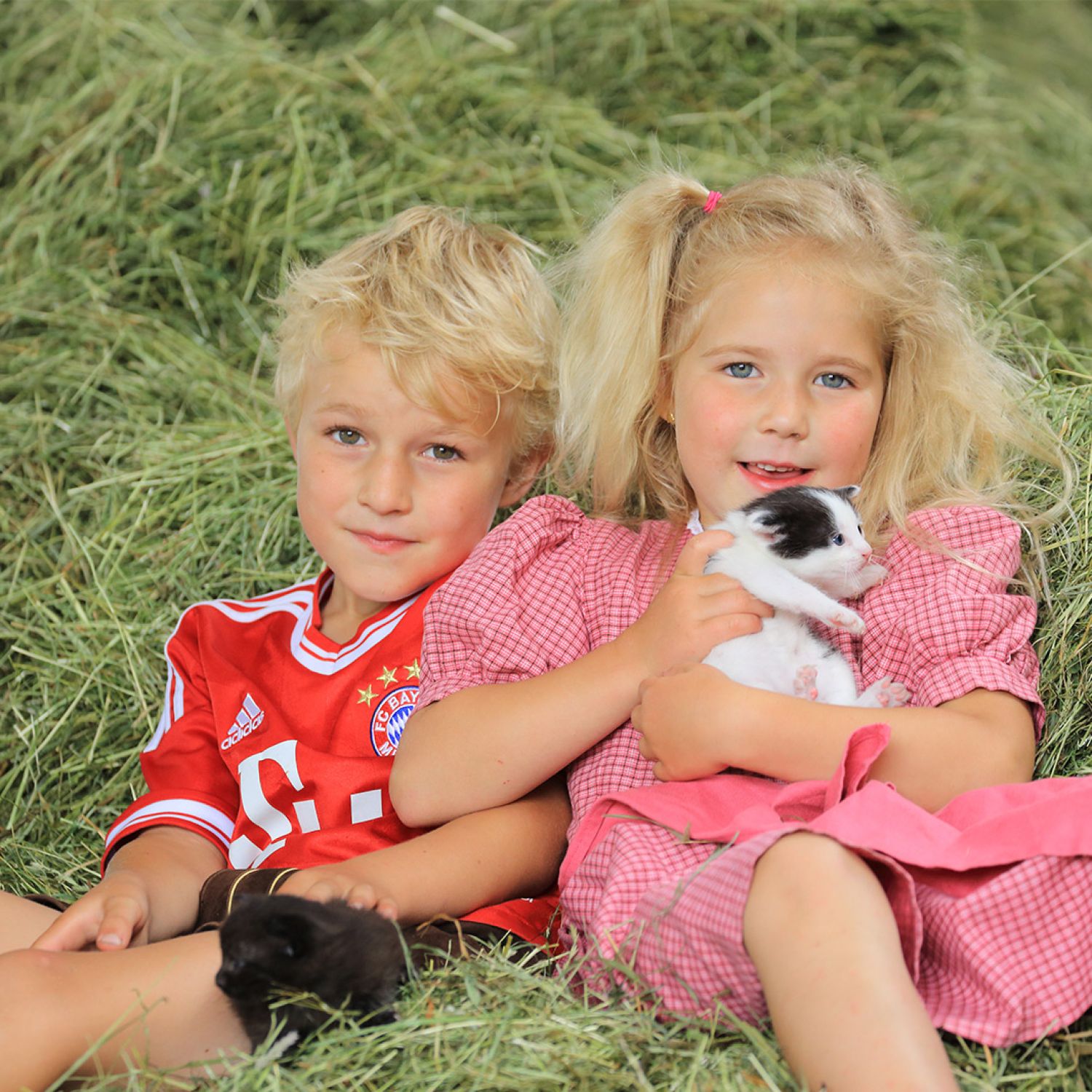 Kinder mit Katzenbabys auf dem Ferienhof Bommer