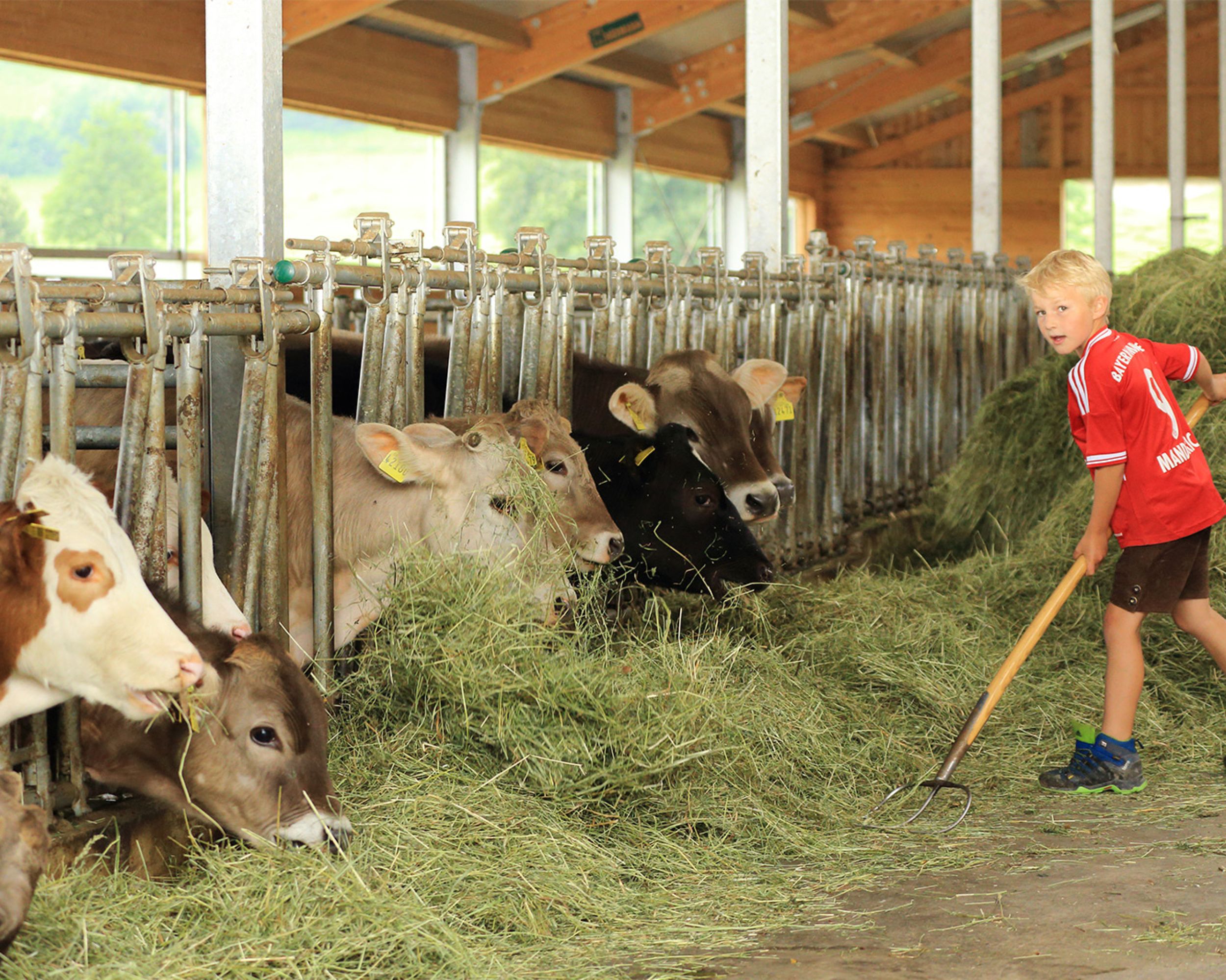 Kinder auf dem Ferienhof Bommer, Roßhaupten